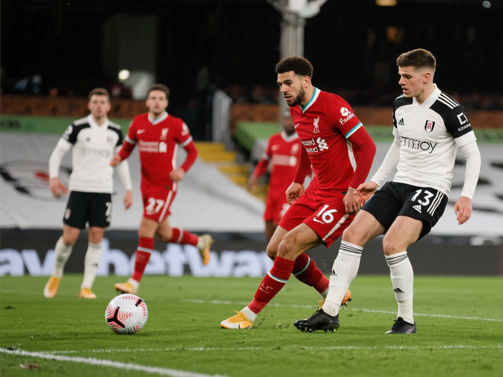 球迷们将拭 球迷们将拭