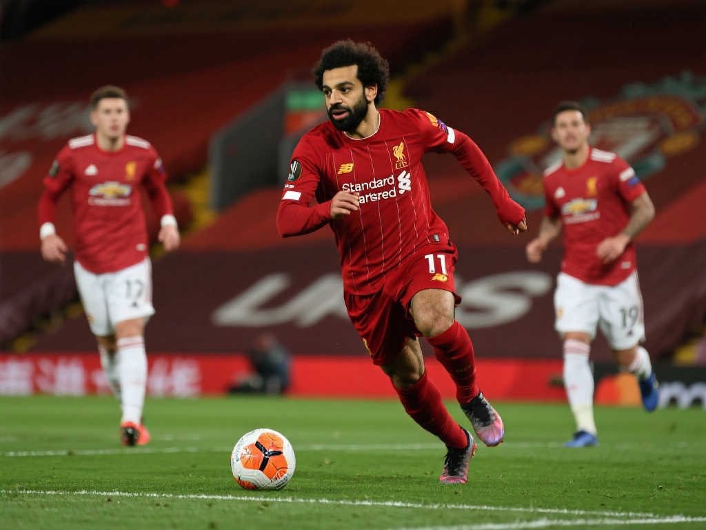 不論是頂級 不論是頂級